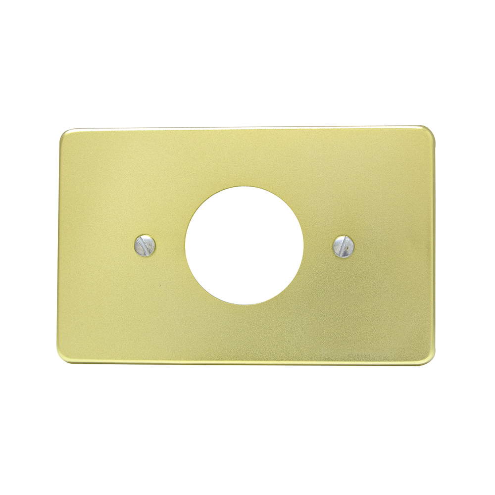 Placa sencilla de aluminio, línea estándar, color oro