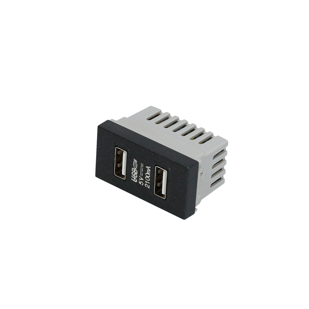 Módulo USB doble 1/3, línea Premium, color negro