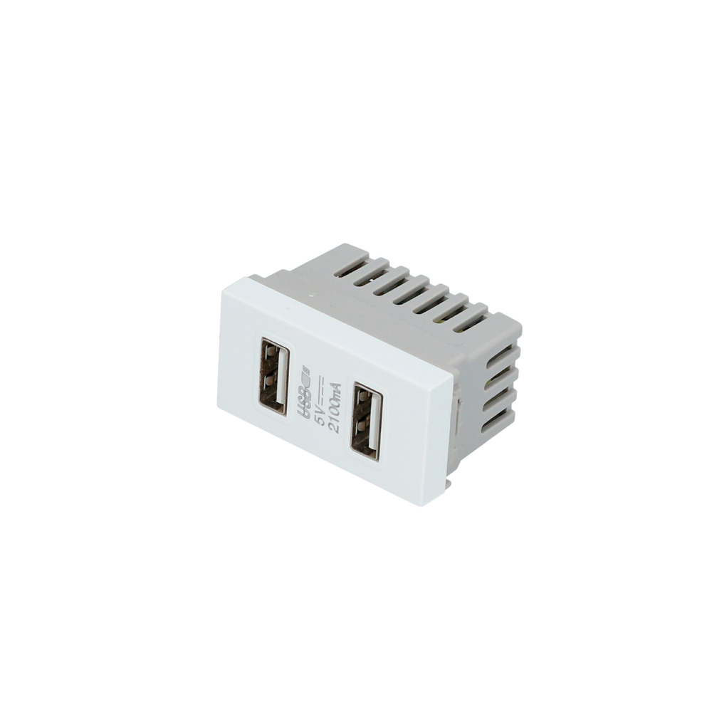 Módulo USB doble 1/3, línea Premium, color blanco