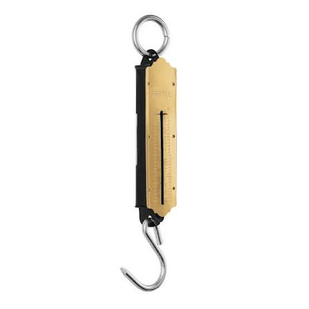 BALANZA ROMANA 100KG WOLFOX