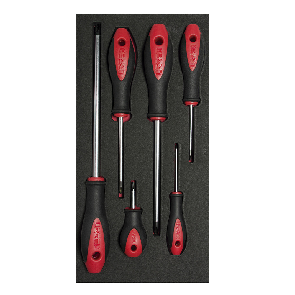 Juego de destornilladores con mango bimaterial punta Phillips 6 piezas, CH116-C