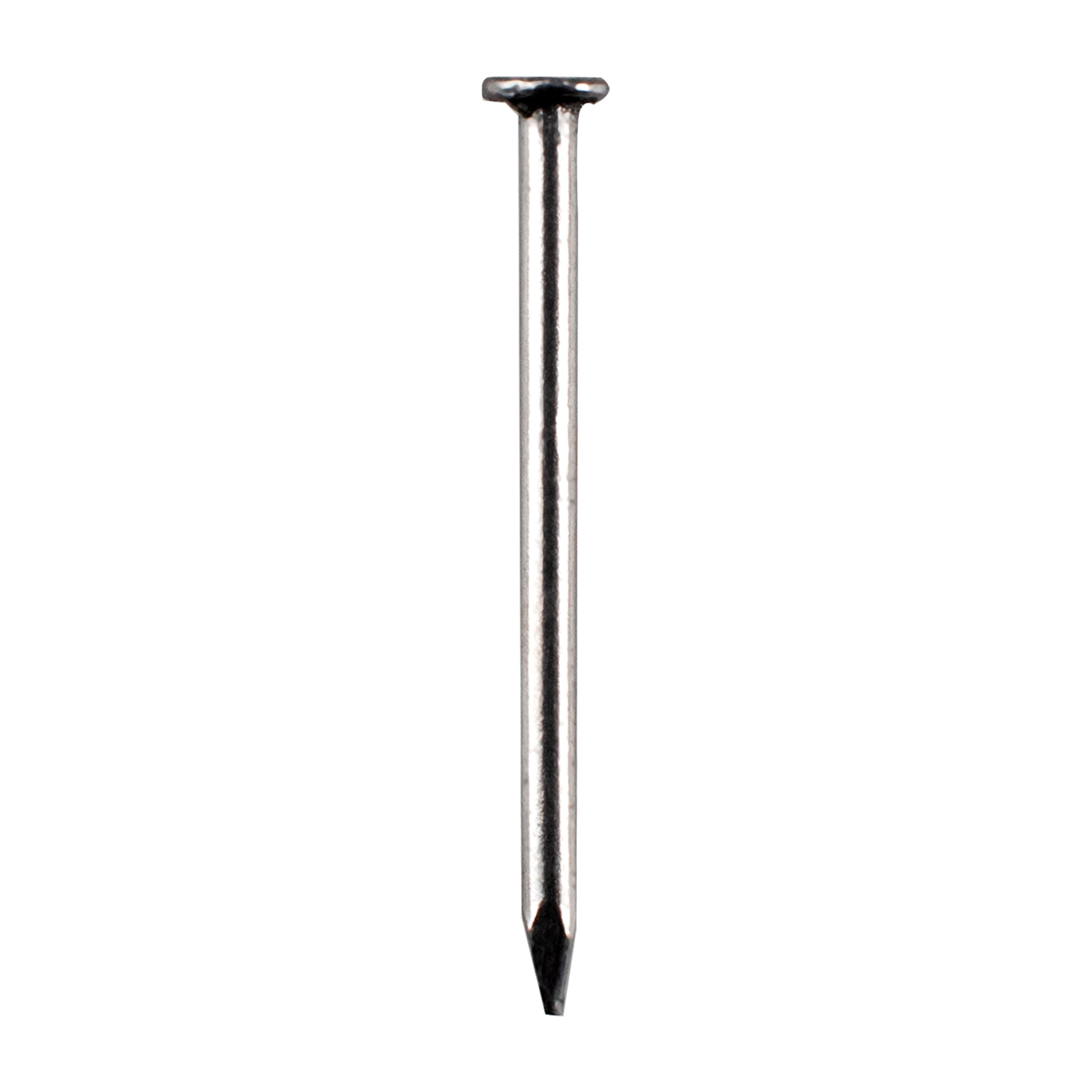 Clavo tipo alfiler con cabeza 1", 1 kg