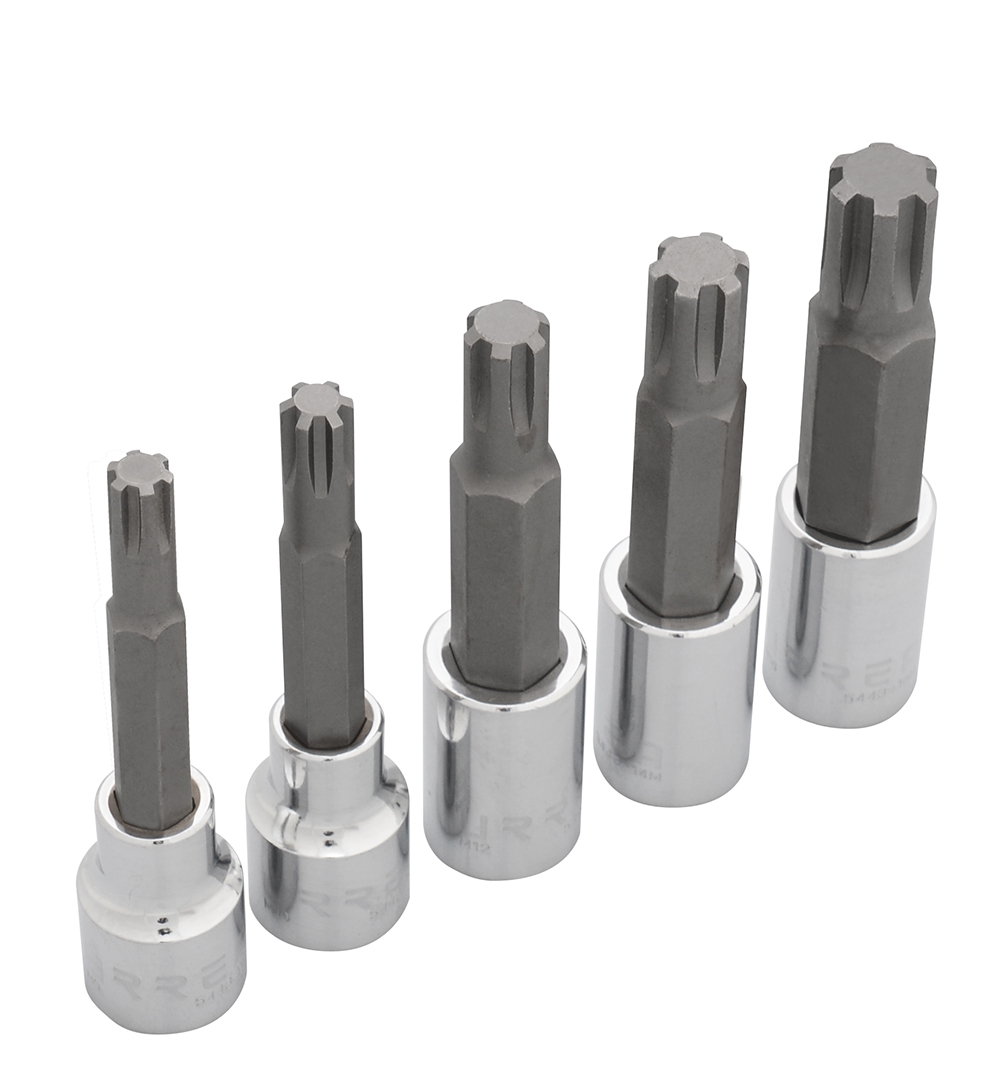 Juego de dados con punta ribe cuadro de 1/2", en riel, 5 piezas